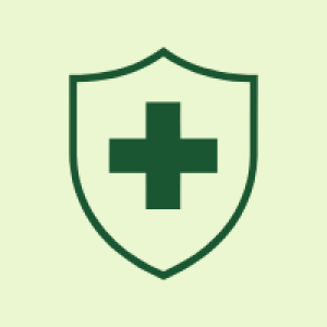 NEXT EMS Shield ICON